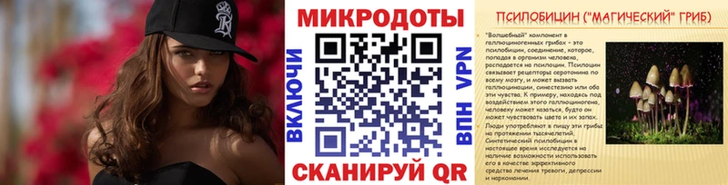 Псилоцибиновые грибы Cubensis Цоци-Юрт